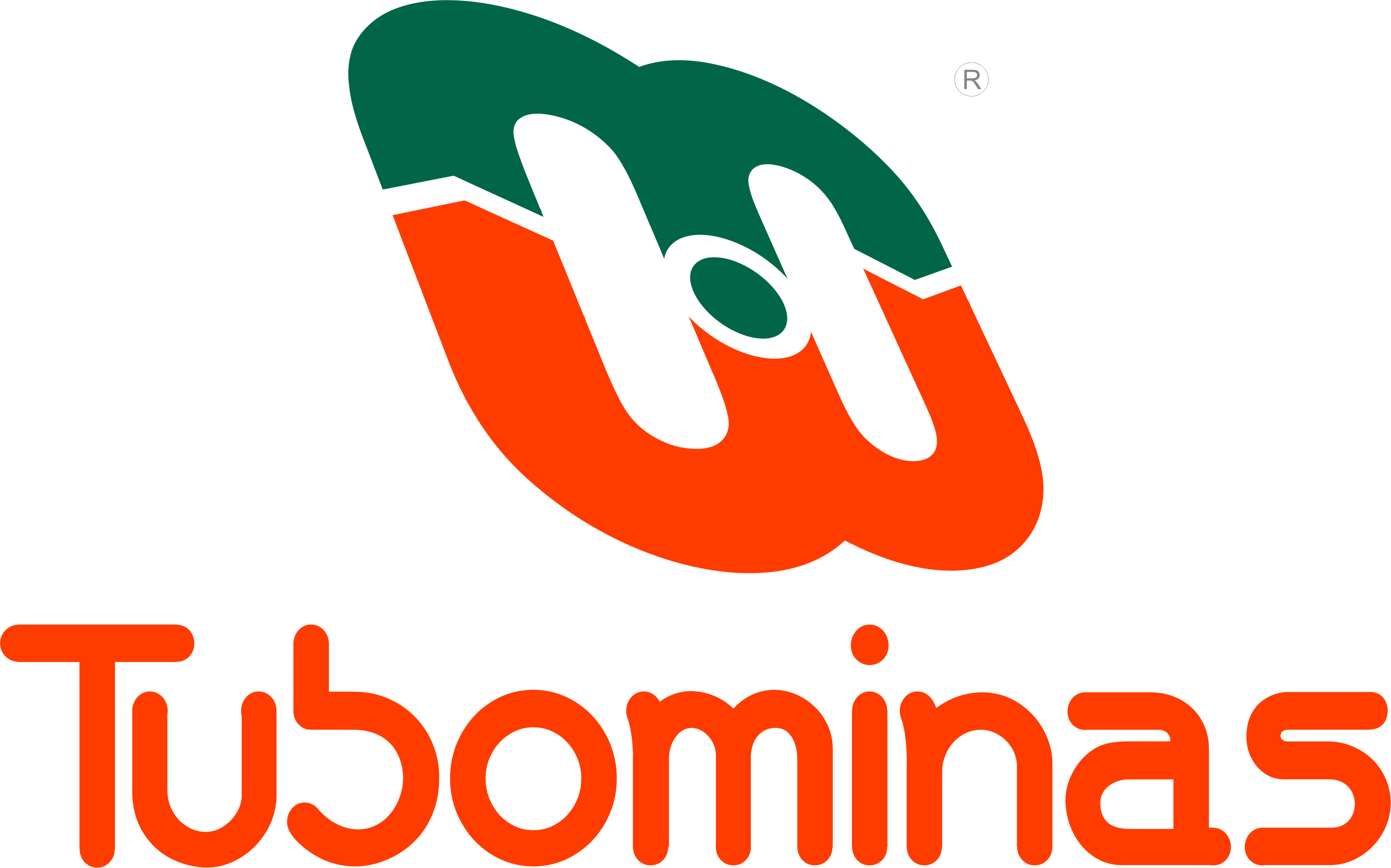 TuboMinas Logo